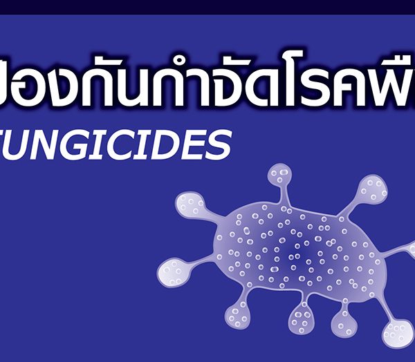 ผลิตภัณฑ์ป้องกันกำจัดโรคพืช