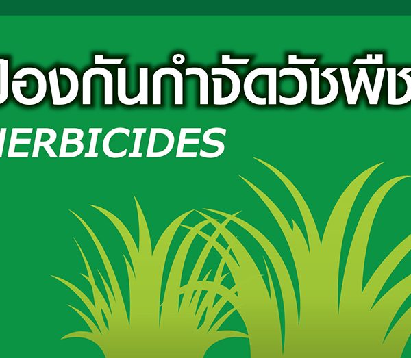 ผลิตภัณฑ์กำจัดวัชพืช