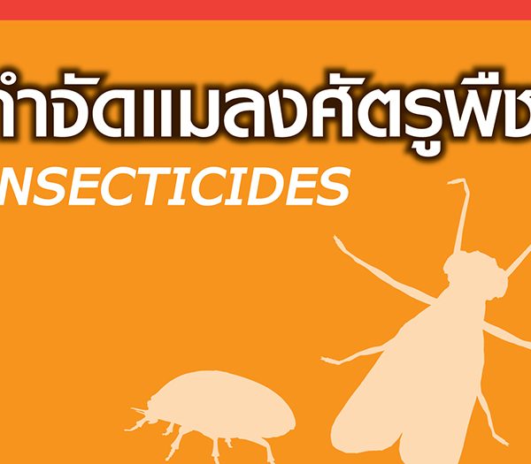 ผลิตภัณฑ์กำจัดแมลงศัตรูพืช