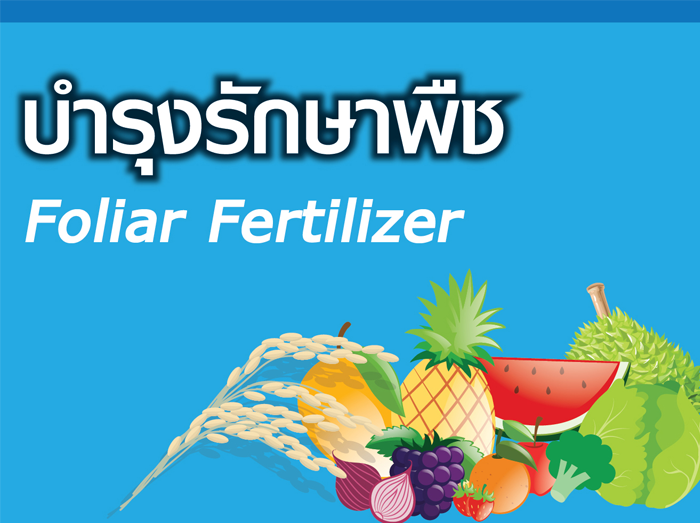 ผลิตภัณฑ์บำรุงรักษาพืช